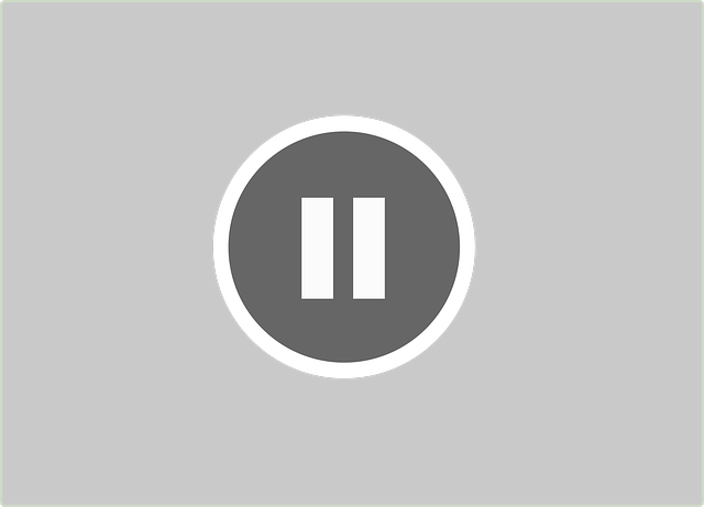 Pause icon